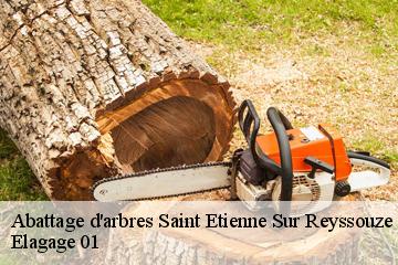 Abattage d'arbres  saint-etienne-sur-reyssouze-01190 Elagage 01
