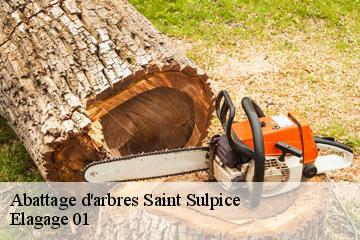 Abattage d'arbres saint-sulpice-01340 Elagage 01