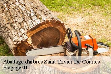 Abattage d'arbres  saint-trivier-de-courtes-01560 Elagage 01