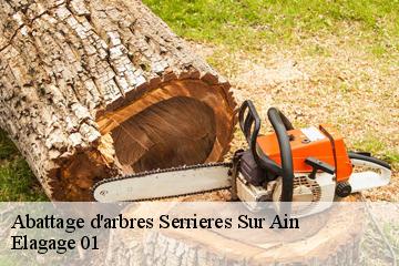 Abattage d'arbres  serrieres-sur-ain-01450 Elagage 01