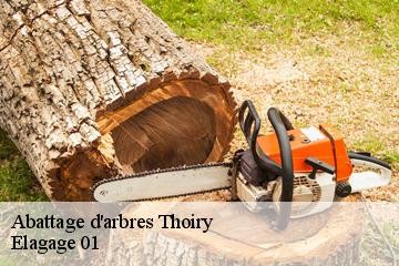 Abattage d'arbres  thoiry-01710 Elagage 01