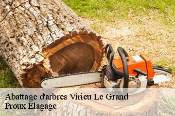 Abattage d'arbres  virieu-le-grand-01510 Proux Elagage