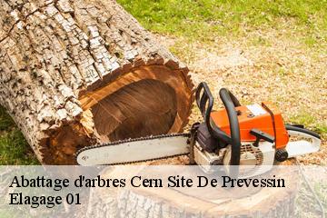 Abattage d'arbres  cern-site-de-prevessin-01630 Elagage 01