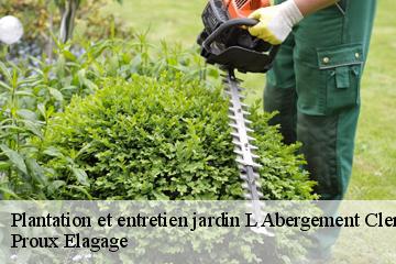 Plantation et entretien jardin  l-abergement-clemenciat-01400 Proux Elagage