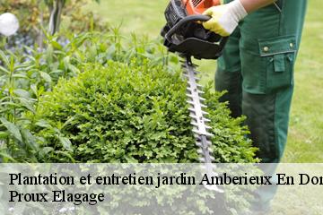Plantation et entretien jardin  amberieux-en-dombes-01330 Proux Elagage