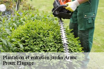 Plantation et entretien jardin  aranc-01110 Proux Elagage