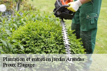 Plantation et entretien jardin  arandas-01230 Proux Elagage
