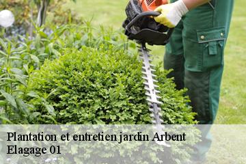 Plantation et entretien jardin arbent-01100 Elagage 01