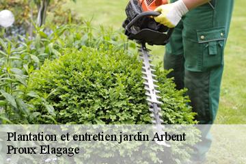 Plantation et entretien jardin  arbent-01100 Proux Elagage