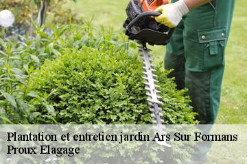 Plantation et entretien jardin ars-sur-formans-01480 Proux Elagage