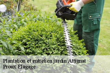 Plantation et entretien jardin  attignat-01340 Proux Elagage