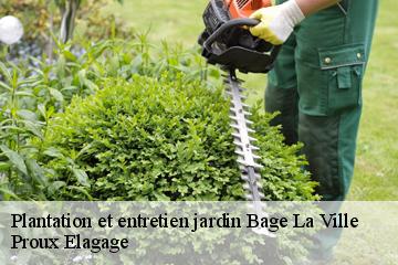 Plantation et entretien jardin  bage-la-ville-01380 Proux Elagage