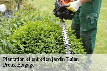 Plantation et entretien jardin  balan-01360 Proux Elagage