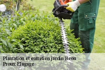 Plantation et entretien jardin  beon-01350 Proux Elagage