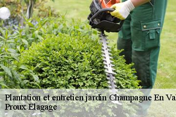 Plantation et entretien jardin  champagne-en-valromey-01260 Proux Elagage