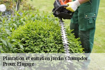 Plantation et entretien jardin  champdor-01110 Proux Elagage