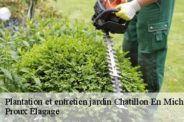 Plantation et entretien jardin  chatillon-en-michaille-01200 Proux Elagage