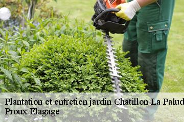 Plantation et entretien jardin chatillon-la-palud-01320 Proux Elagage