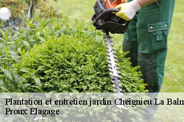 Plantation et entretien jardin  cheignieu-la-balme-01510 Proux Elagage