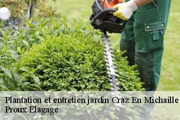 Plantation et entretien jardin  craz-en-michaille-01200 Proux Elagage