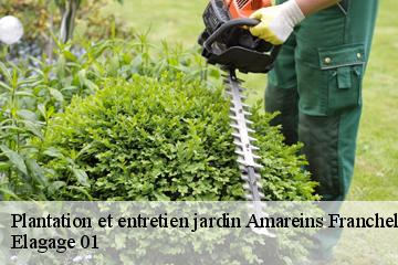 Plantation et entretien jardin amareins-francheleins-cesseins-01090 Elagage 01