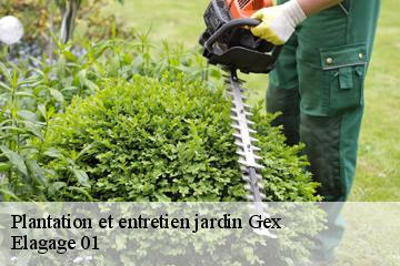 Plantation et entretien jardin gex-01170 Elagage 01
