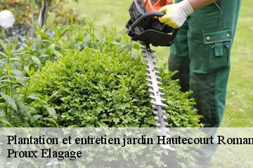 Plantation et entretien jardin  hautecourt-romaneche-01250 Proux Elagage