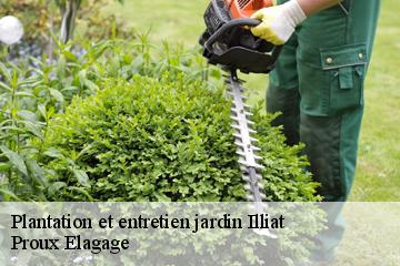 Plantation et entretien jardin illiat-01140 Proux Elagage