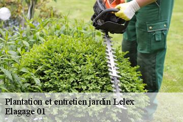 Plantation et entretien jardin  lelex-01410 Elagage 01