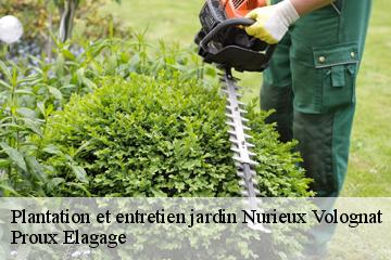 Plantation et entretien jardin  nurieux-volognat-01460 Proux Elagage