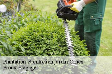 Plantation et entretien jardin  ornex-01210 Dynamique Elagueur