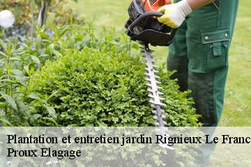 Plantation et entretien jardin  rignieux-le-franc-01800 Proux Elagage