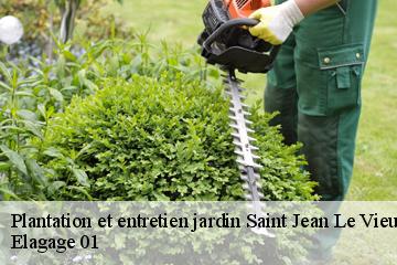 Plantation et entretien jardin saint-jean-le-vieux-01640 Elagage 01