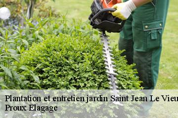 Plantation et entretien jardin  saint-jean-le-vieux-01640 Pierrot Elagage
