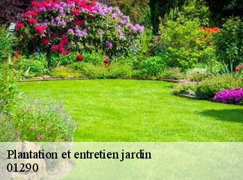 Plantation et entretien jardin 01290
