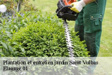 Plantation et entretien jardin  saint-vulbas-01150 Elagage 01