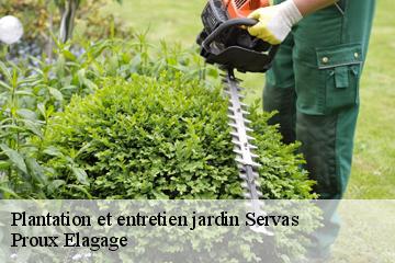 Plantation et entretien jardin  servas-01240 Proux Elagage