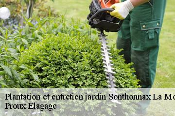 Plantation et entretien jardin  sonthonnax-la-montagne-01580 Proux Elagage