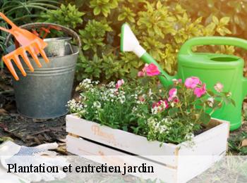 Plantation et entretien jardin