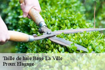 Taille de haie  bage-la-ville-01380 Proux Elagage