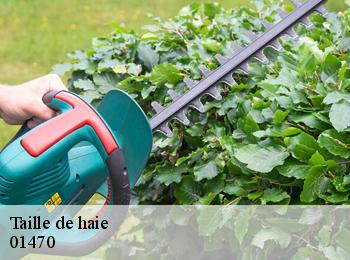 Taille de haie 01470