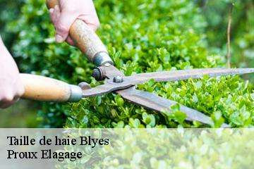 Taille de haie  blyes-01150 Proux Elagage