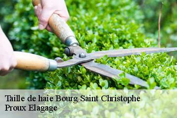 Taille de haie  bourg-saint-christophe-01800 Proux Elagage