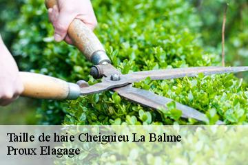 Taille de haie  cheignieu-la-balme-01510 Proux Elagage