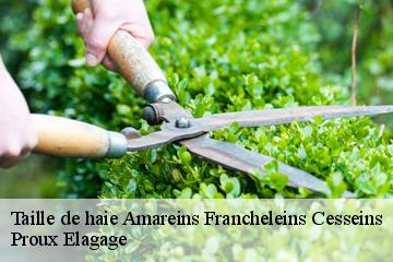 Taille de haie amareins-francheleins-cesseins-01090 Proux Elagage