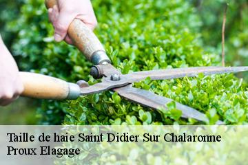 Taille de haie saint-didier-sur-chalaronne-01140 Proux Elagage