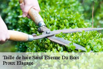 Taille de haie  saint-etienne-du-bois-01370 Proux Elagage