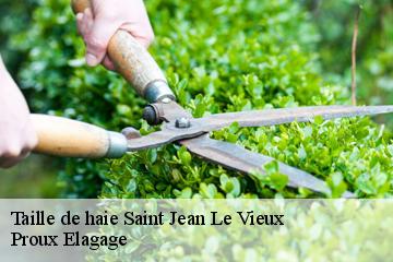 Taille de haie  saint-jean-le-vieux-01640 Proux Elagage