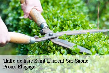 Taille de haie saint-laurent-sur-saone-01620 Proux Elagage