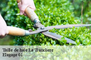 Taille de haie la-trancliere-01160 Elagage 01